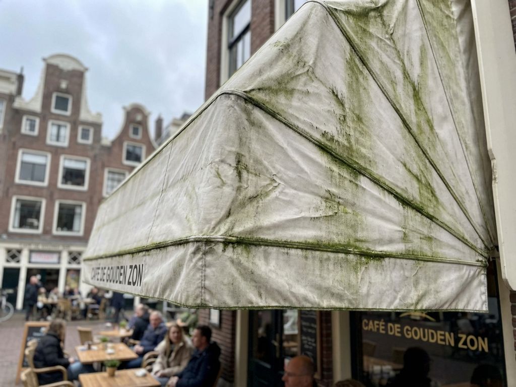 Luifel van restaurantterras met groene algenstrepen na winterweer, Nederlandse architectuur op achtergrond