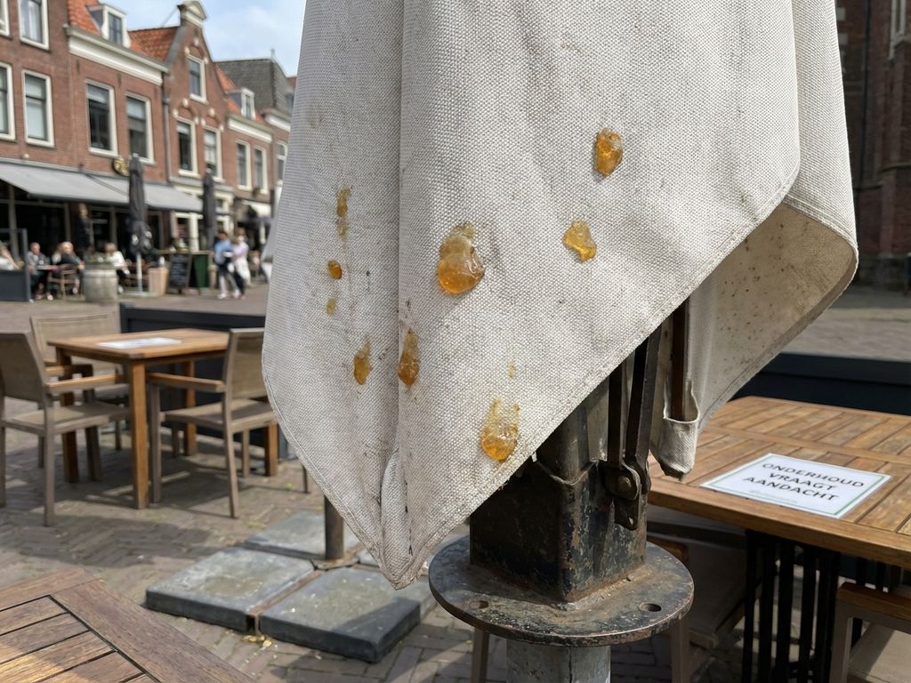 Witte parasol met amber harsdruppels op Nederlands restaurantterras met bakstenen gebouwen op achtergrond