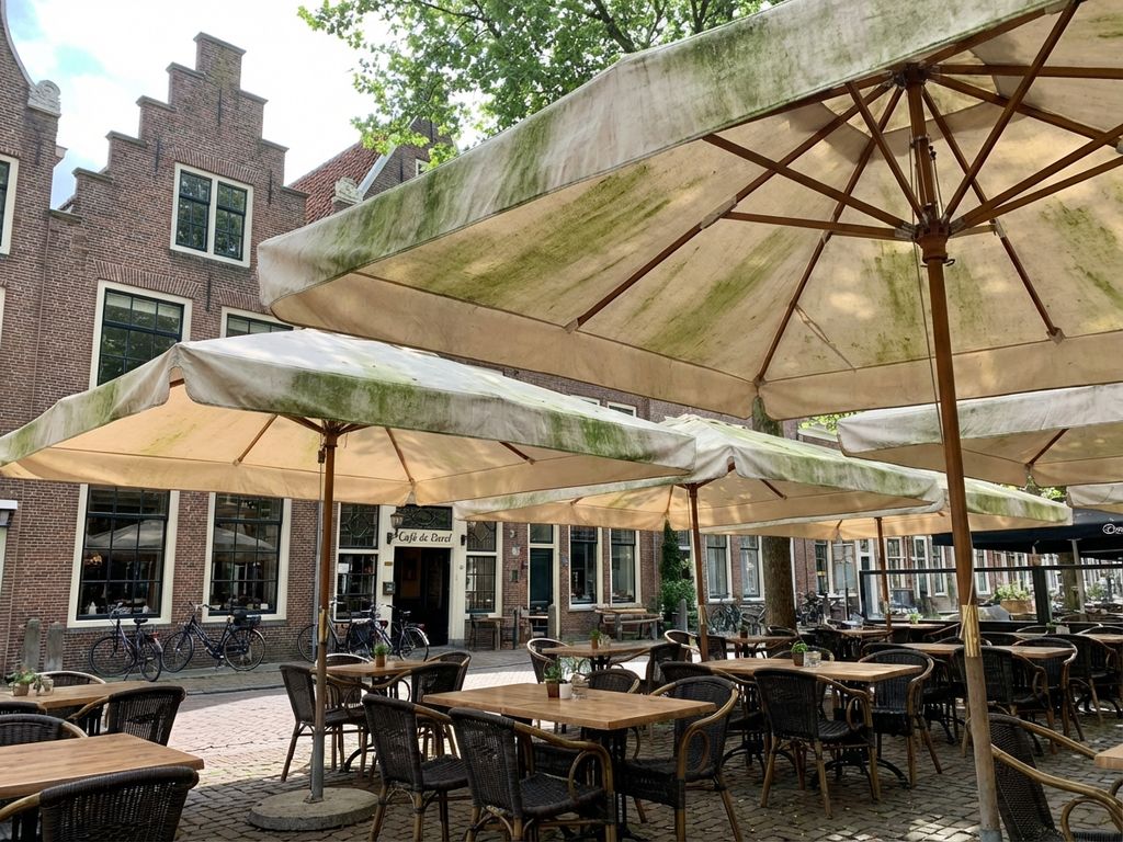 Commerciële parasols met algengroei op terras van Nederlands restaurant, bakstenen gebouwen op achtergrond