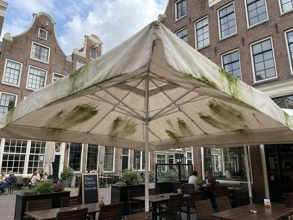 Commerciële parasol met groene algen en mos op terras van Nederlands restaurant, professionele reiniging nodig