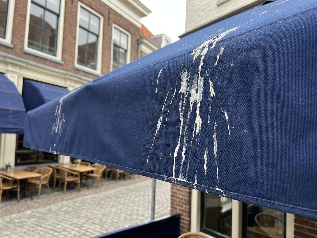 Donkerblauwe restaurantluifel met witte vogelpoep boven Nederlands café terras met bakstenen architectuur