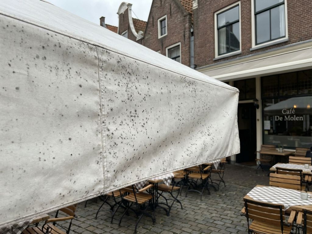 Witte zonwering met zwarte schimmelplekken boven restaurantterras met houten tafels in Nederlandse straat