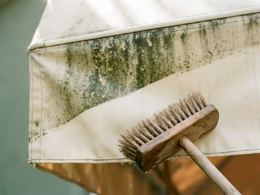 Verouderd crème canvas zonnescherm half gereinigd, met contrast tussen donkergroen algenvlek en herstelde stof, professionele reinigingsborstel zichtbaar.