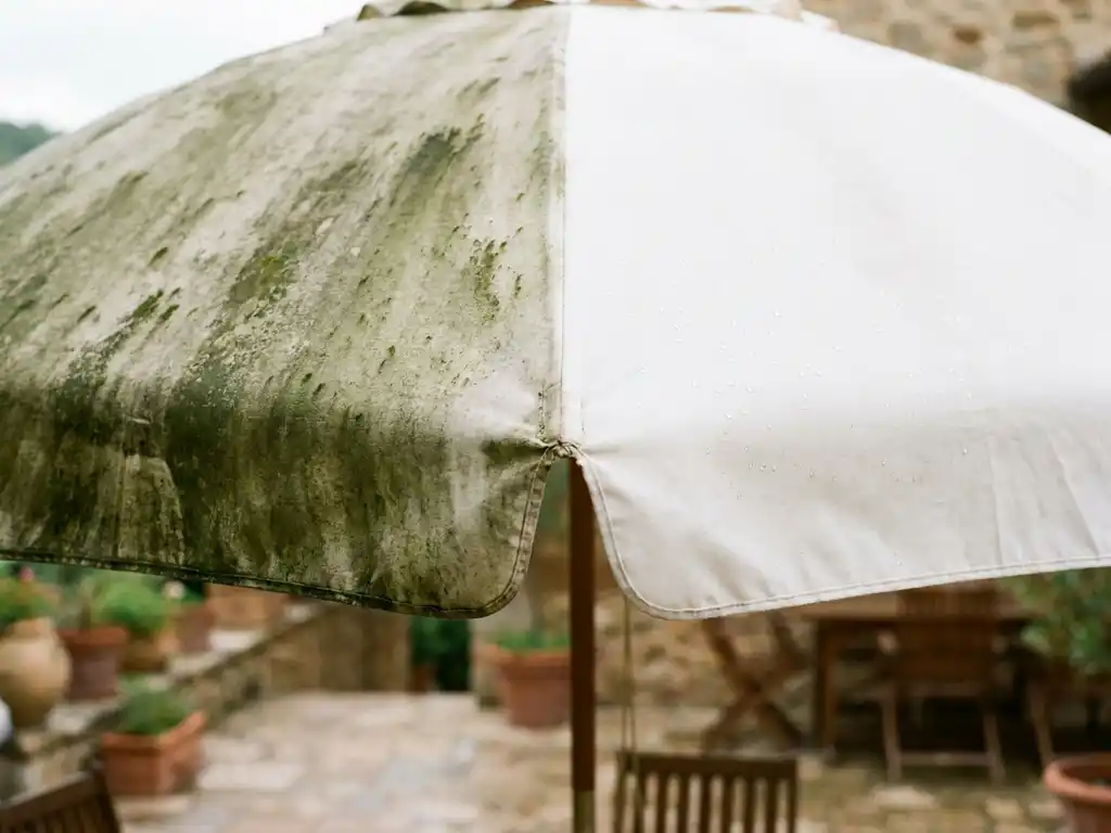 Terrasparasol met één helft bedekt door groene algen en mos, de andere helft schoon en wit met waterdruppels, buiten in natuurlijk daglicht.