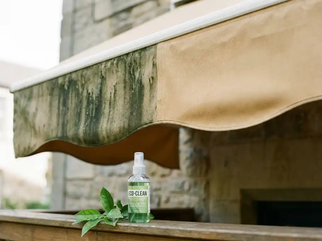 Verweerd canvas zonnescherm half bedekt met groene algen, half schoongemaakt naar origineel beige, met eco-vriendelijk sproeiflacon en verse bladeren.