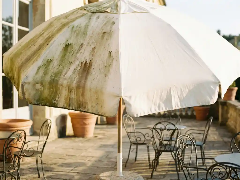 Terrasoverstek half bedekt met groene algen en mosvlekken, de andere helft schoon en helder wit, op een zonnig terras met caféstoel.
