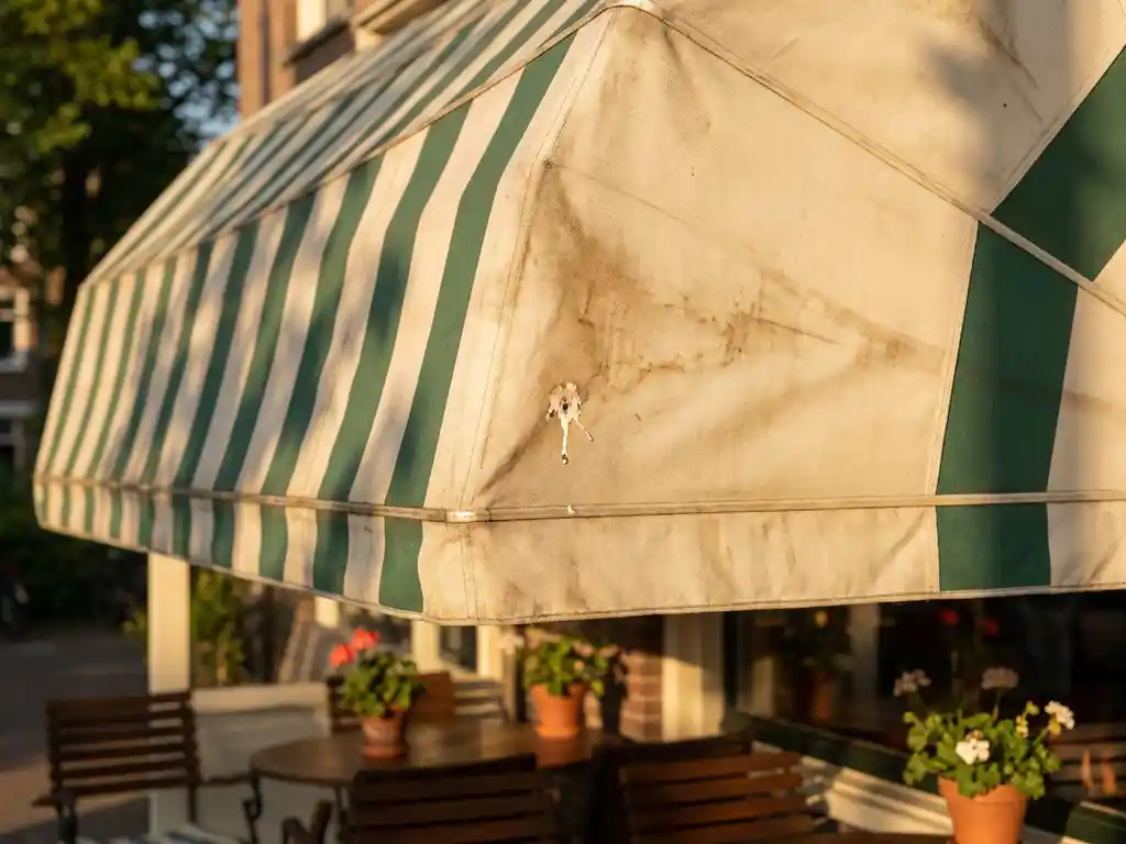 Gestreepte canvas luifel van een Nederlands restaurantterras met vogelpoep en verkleuringen in crème en bosgroen.